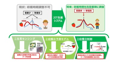 イチゴＪＩＴ生産へ 農研機構が精密予測・制御技術を開発